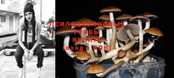 марки nbome Белокуриха